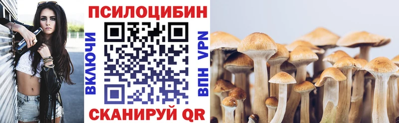 Галлюциногенные грибы прущие грибы  Комсомольск 